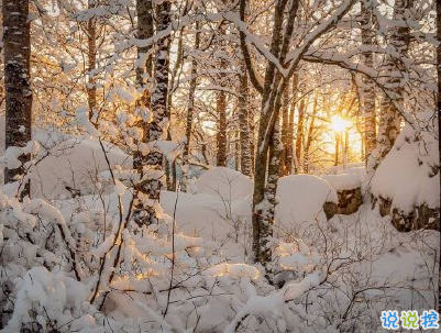 2020下雪天朋友圈文案带图片 雪景说说唯美浪漫11