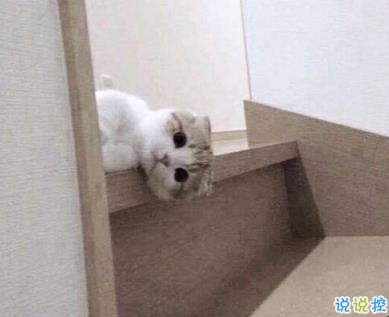 在家无聊时发的文案 无聊说说个性心情短语1