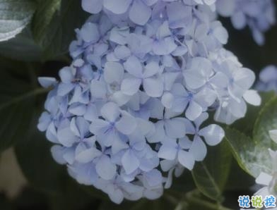 妇女节写给妈妈的话 2020妇女节说说温暖治愈1