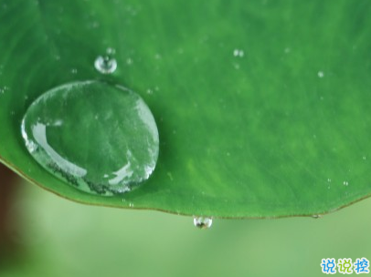 下雨天搞笑文案带图片 雨天可以发的幽默句子6