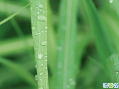 下雨天搞笑文案带图片 雨天可以发的幽默句子14