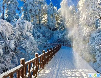 下雪天微信个性短句 下雪说说心情短语精选2