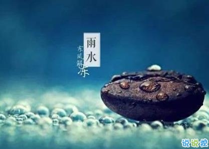 2020雨水节气祝福语说说 雨水微信文案大全1