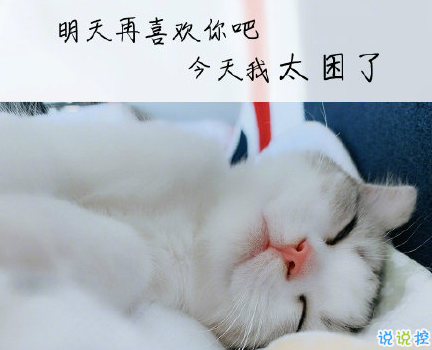 抖音甜甜的晚安文案 可爱女生晚安个性句子2