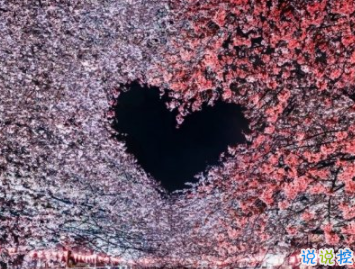 告别2019拥抱2020唯美说说 2020全新唯美心情短语1