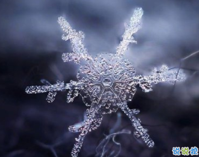 抖音下雪超级火的句子 抖音最美下雪文案1