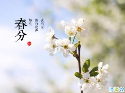 2020春分朋友圈文案 春分最新微信说说一句话1