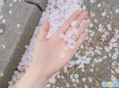抖音上热门说说大全 抖音最火个性说说绝对精辟2