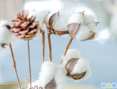 2019五月再见六月你好的心情说说 6月朋友圈说说文艺范2