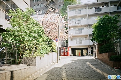 2019微信朋友圈励志晚安心语带图片 早安晚安勿忘心安1