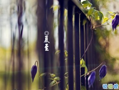 2019夏至说说发朋友圈 最新夏至说说精选2