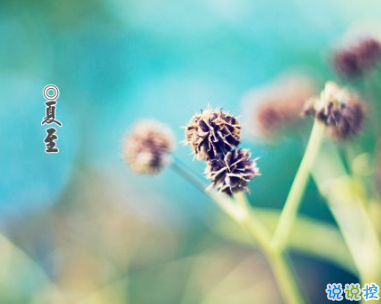 2019夏至说说发朋友圈 最新夏至说说精选1