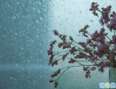 下暴雨的说说微信朋友圈 大雨天气说说心情短语1
