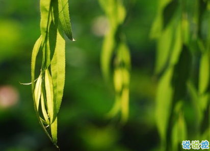 夏季天气好热的说说 2019天气炎热的微信说说1