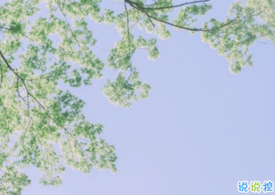 早安调皮句子正能量说说 新的开始正能量早安心语1
