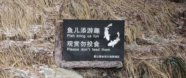 超搞笑的英语翻译/中式翻译说说带图片6