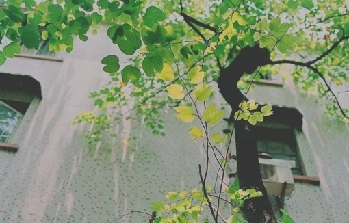 关于生活的有点伤感但很现实的图片说说 哭也不会改变什么这个世界从来不会对任何人温柔8