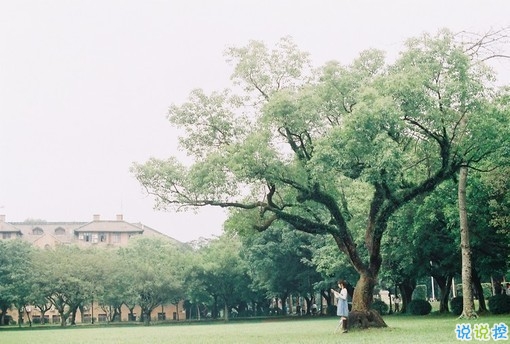 大学生必看的搞笑暖心情话 不同系别的学霸怎么表白2