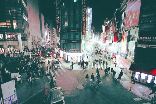 写给步入职场的你的一些经典感悟哲理句子带图片4