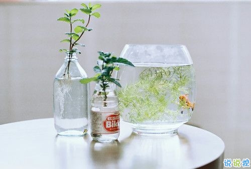 带图片的励志说说人生感悟 别辜负了你的野心也别对不起你受的苦12
