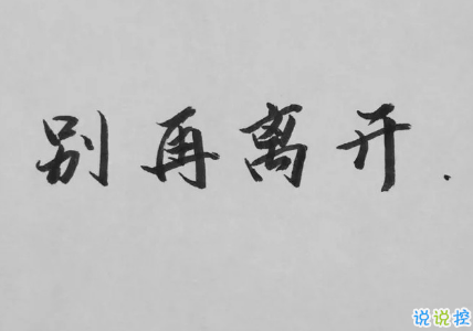 微博经典情感语录大全 2019很煽情的经典爱情句子1