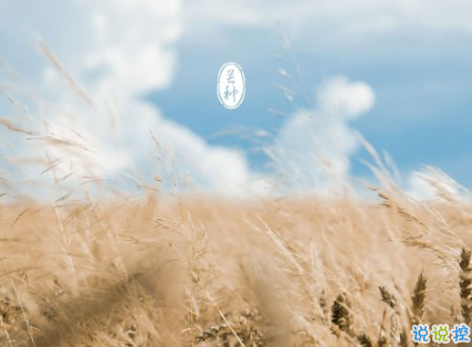 2020芒种说说经典好听 关于芒种的说说微信朋友圈1
