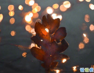 2019朋友圈超走心句子经典 心宽就是对自己最好的礼物2