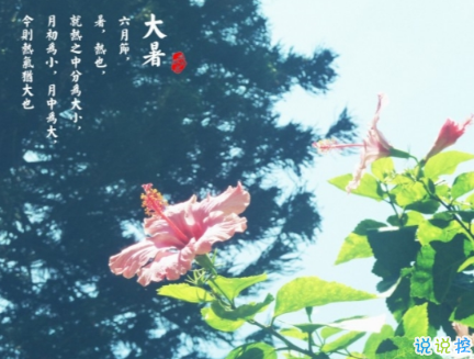 2019大暑节气经典说说祝福语 大暑节气好听的早安问候语1
