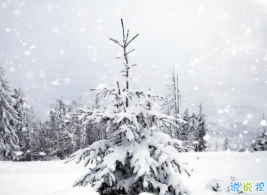 冬天下雪朋友圈说说搞笑大全 下雪天搞笑句子吸引人2