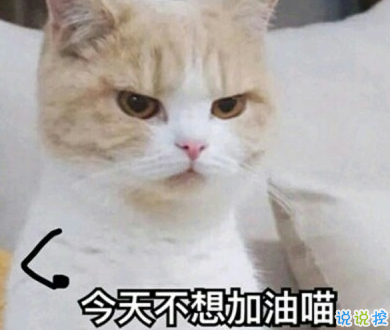 抖音最雷人搞笑的句子 笑到停不下来的说说1