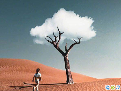 最新的扎心伤感语录  是说不出口的喜欢1