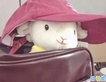 沙雕女孩发朋友圈的说说 送给大家的欢乐源泉1