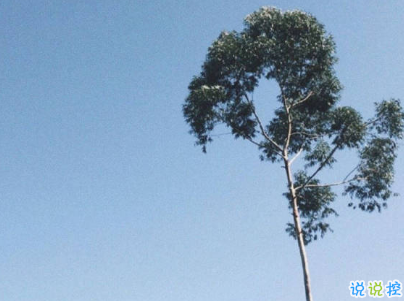 攒够了失望的经典句子 失望心疼自己的说说1
