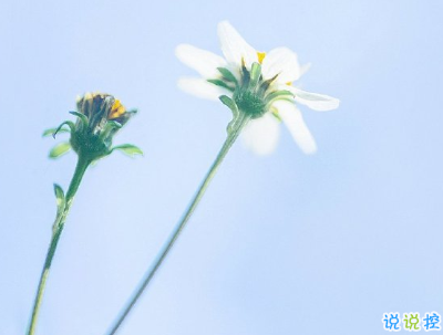 春暖花开的朋友圈说说 春天唯美说说短句1