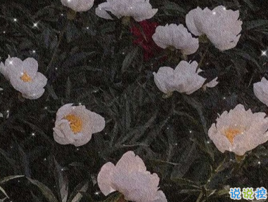 朋友圈难过文案 有点失望的心情说说1