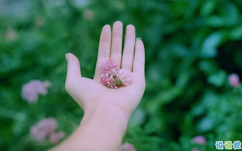 有点好笑又甜蜜的土味情话大合集 我是可爱的小姑娘你是可爱1