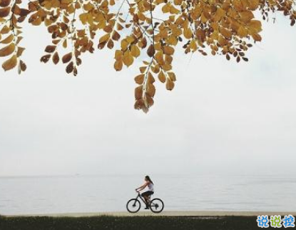最新元旦个性说说2019要加油 拼搏道路上经典的话语1