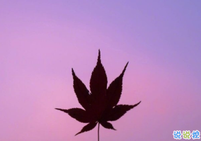 2019十一月微信说说简短经典 11月置顶的高质量说说大全2