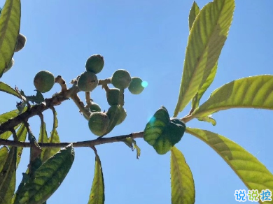 最火爱情英文短句带翻译 你稳稳的住在我心底2