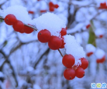 适合初雪发的文案文艺范 初雪的唯美说说发朋友圈1