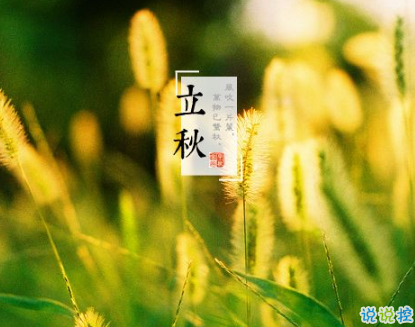 2019立秋节气说说经典句子 微信立秋说说简短唯美2