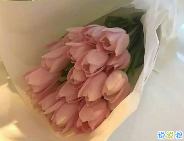 抖音晚安句子唯美好听 睡前一句话说说20191