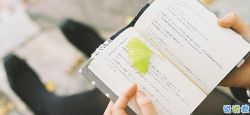 文字控喜欢的唯美小清新句子大全 2018超唯美的唯美文艺句子2
