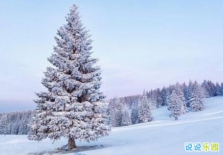 下雪的悲伤说说 下雪天的伤感心情说说