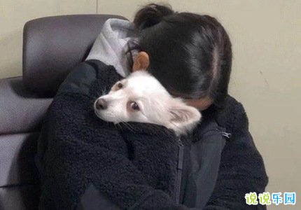 心里特烦的说说 心烦生活压抑说说短语