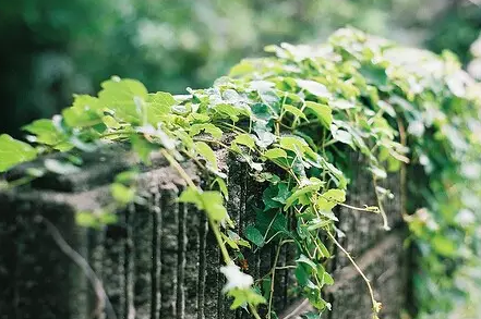 2018最新写给傻傻的自己配图 傻傻的话写给自己一段话图片10