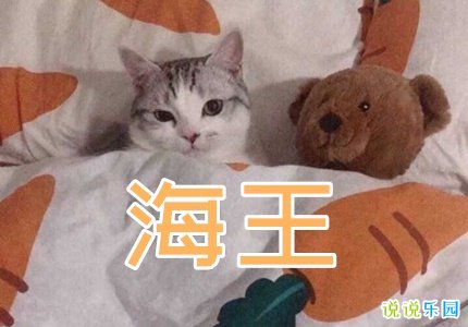 海王渣到爆的句子 海王语录短句渣男