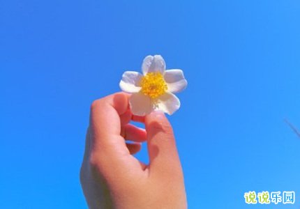 QQ随心贴语录 随心贴怎么写好听