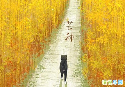 芒种的个性说说 芒种的文案发朋友圈