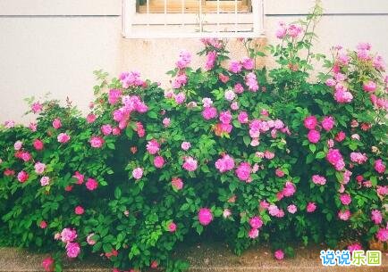 立春节气祝福语 今日立春的祝福语